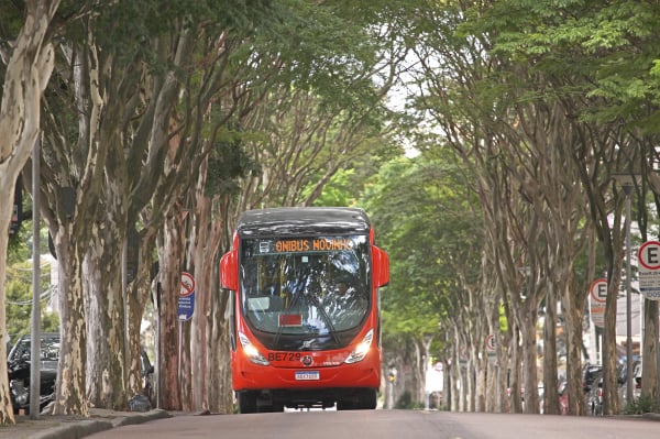 Onibus novo em Curitiba: lote se divide em modelos convencionais, padron, articulados e biarticulados