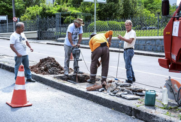 Operários quebram o calçamento para iniciar o plantio das mudas