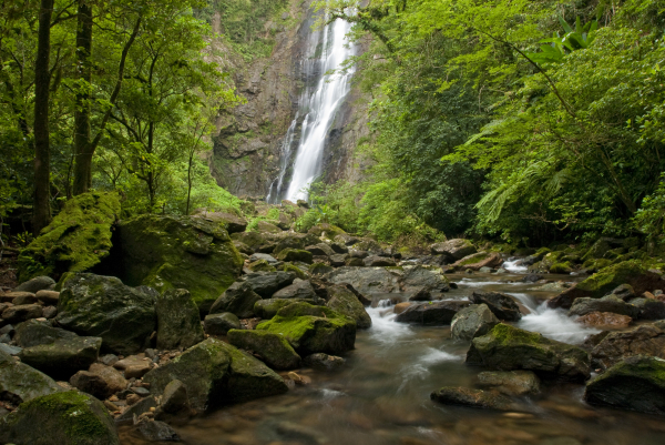 A Grande Reserva também une reservas espalhadas pela Mata Atlântica, como a Reserva Natural Salto Morato