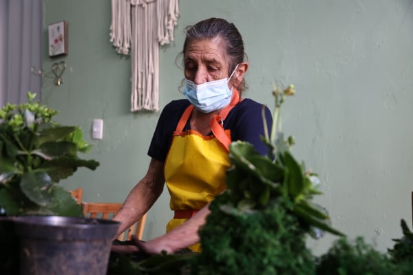 Jardinagem está entre as atividades oferecidas na Casa Sol, que também dispõe de acompanhamento psicológico, artes, dança, música e yoga, entre outras