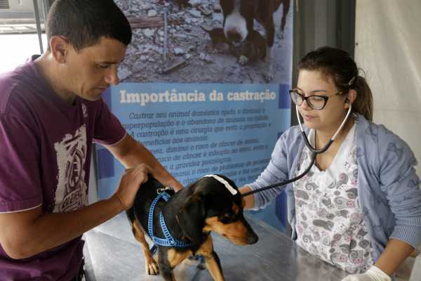 Serão atendidos cães e gatos, machos e fêmeas, com idade entre 5 meses a 8 anos,