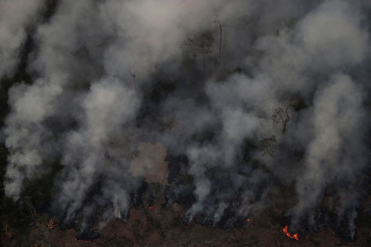 Bolsonaro autoriza operação das Forças Armadas na Amazônia para combater incêndios