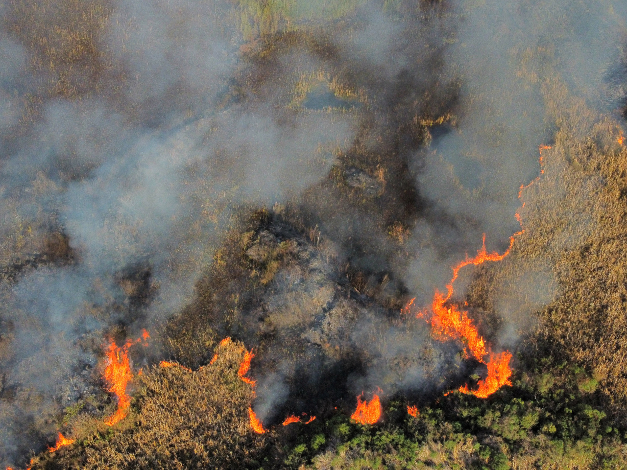 Incêndios ambientais: está aberta a ‘temporada de fogo’ no Paraná